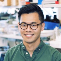 Chii Fong, Phd