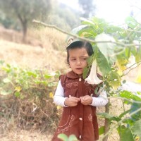Aqsad Abbasi