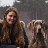 Johanna Wellner