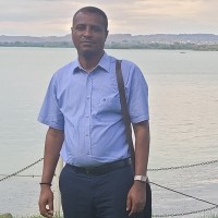 Alemayehu Zewdie Asrat (Msc, Pmp)