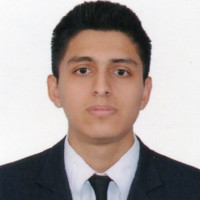 David Eduardo Calderon Apaza