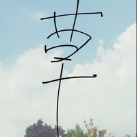 陈友顺