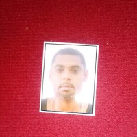 Henrique Vieira Rodrigues