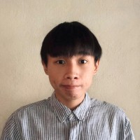 Qing Hong Tan