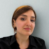Negin Dabiri