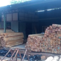 NICAFOREST WOOD COMPANY