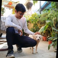 ANKIT KAR