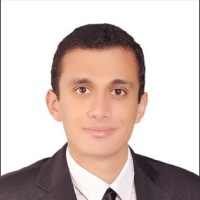 Hossam Kamel