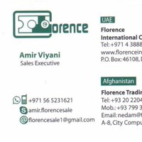 FLORENCE INTL COMPUTERS TRADING