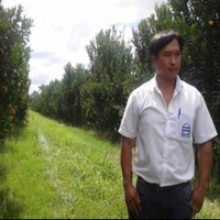 Rubens Shigueru Minami