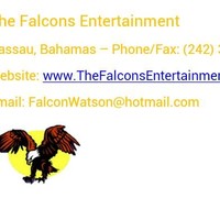 The Falcons Entertainment