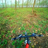 李经纬