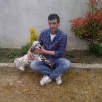 ENDER Demir
