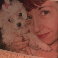 Jean Sullivan