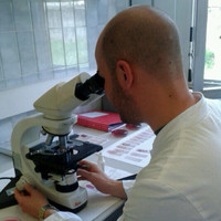 Giorgio Piccinelli