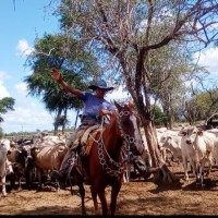 Hector Benitez Caceres