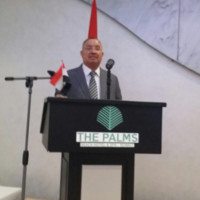 Fawzy Ellameiy