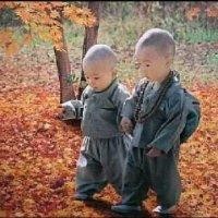 杨中海