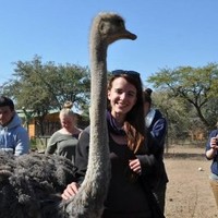 Alice Treharne