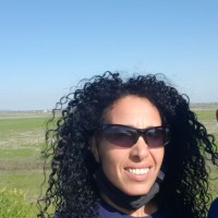 Shirley Rotem