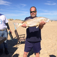 Steve Kelly