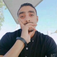 Wageh Abdelrahman Elsaid