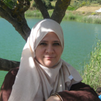 Hassiba Zergui