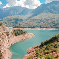 Hoa Doan