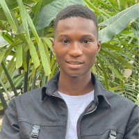 Ayodeji Seriki