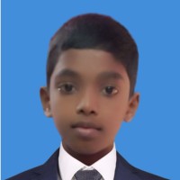 Krishna Pulapakura