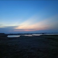 L. Mahendar