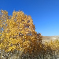 赵永禄