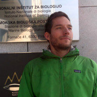 Martin Vodopivec