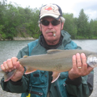 Bob Willoh