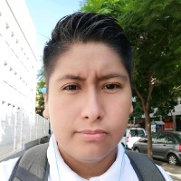 diego paredes mamani