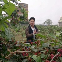 林杰海