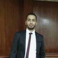 Mohammed Amr