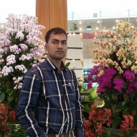 Kamrul Hasan