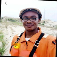Davies Ibienebo Chris Ph.D