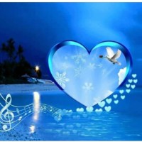 Étincelle de Vie Étincelle