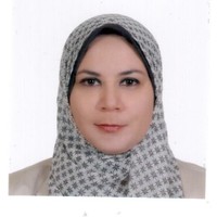 Noha Saleh