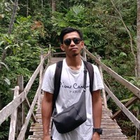 M. N Ikhmal