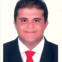 sameh Nagi