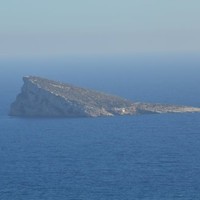 Amparo Zaragoza Casanova