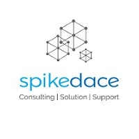 Spikedace IT Solution