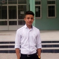 Hamza Kaya