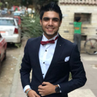 Mahmoud Hossam El-Mekawy