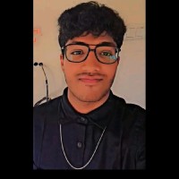 Ankit Ray