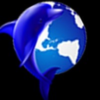 DOLPHIN TRADERS