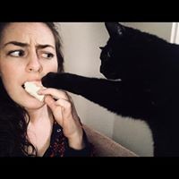 Steph Dolan